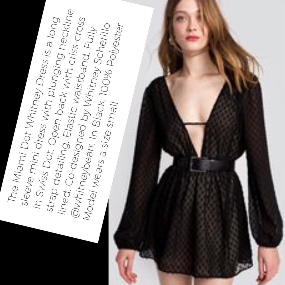 WILDFOX Whitney Swiss Dot mini dress (tunic?)